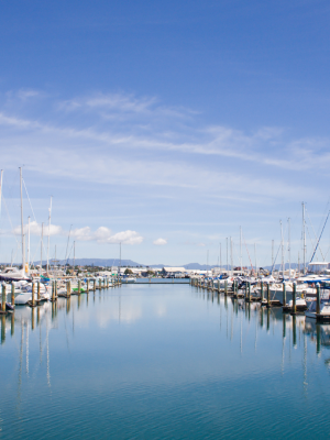 A marina from the side view showing boats along the skyline.
