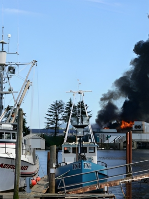 Early Warning Fire Detection Image